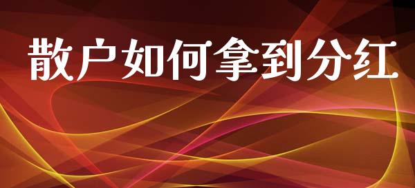 散户如何拿到分红_https://m.fansifence.com_个股行情_第1张