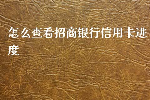怎么查看招商银行信用卡进度_https://m.fansifence.com_个股行情_第1张