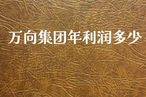 万向集团年利润多少_https://m.fansifence.com_贵金属行情_第1张