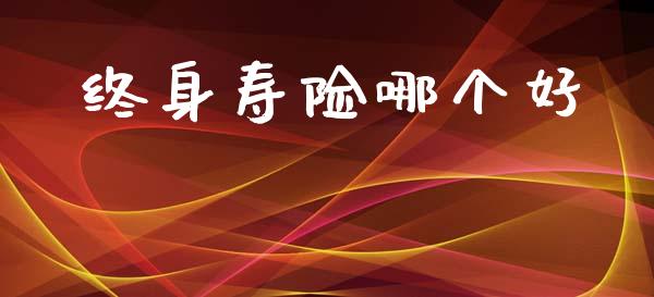 终身寿险哪个好_https://m.fansifence.com_公募基金_第1张