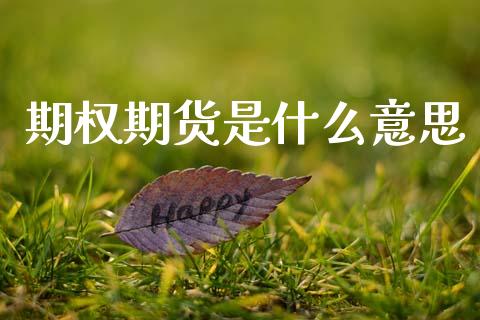 期权期货是什么意思_https://m.fansifence.com_贵金属行情_第1张