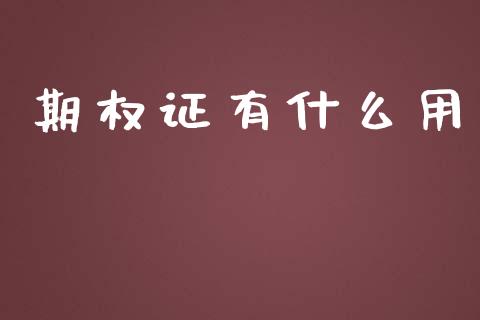 期权证有什么用_https://m.fansifence.com_消费金融_第1张