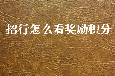 招行怎么看奖励积分_https://m.fansifence.com_消费金融_第1张