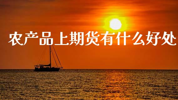 农产品上期货有什么好处_https://m.fansifence.com_消费金融_第1张
