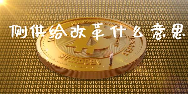 侧供给改革什么意思_https://m.fansifence.com_消费金融_第1张