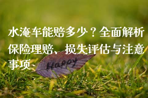 水淹车能赔多少？全面解析保险理赔、损失评估与注意事项_https://m.fansifence.com_贵金属行情_第1张