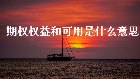 期权权益和可用是什么意思_https://m.fansifence.com_个股行情_第1张