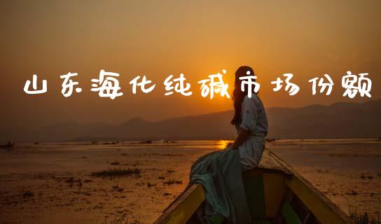山东海化纯碱市场份额_https://m.fansifence.com_个股行情_第1张