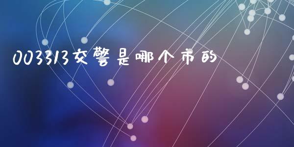 003313交警是哪个市的_https://m.fansifence.com_消费金融_第1张