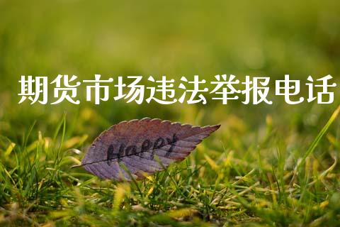 期货市场违法举报电话_https://m.fansifence.com_消费金融_第1张