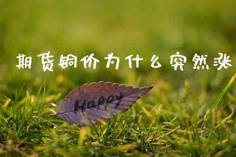 期货铜价为什么突然涨_https://m.fansifence.com_消费金融_第1张
