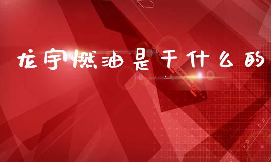 龙宇燃油是干什么的_https://m.fansifence.com_个股行情_第1张