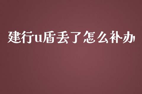 建行u盾丢了怎么补办_https://m.fansifence.com_消费金融_第1张