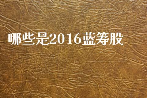 哪些是2016蓝筹股_https://m.fansifence.com_公募基金_第1张