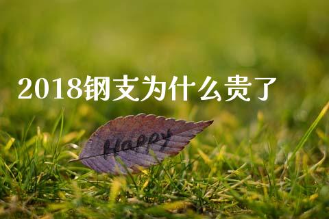 2018钢支为什么贵了_https://m.fansifence.com_贵金属行情_第1张
