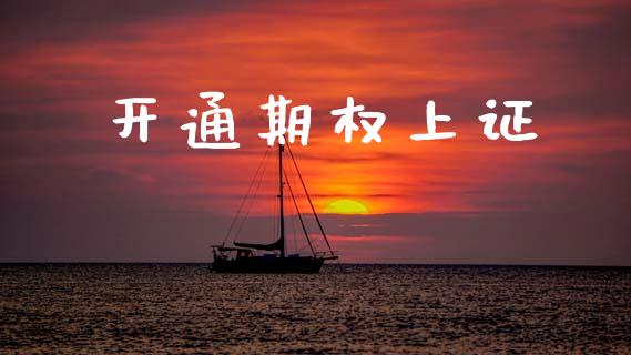 开通期权上证_https://m.fansifence.com_消费金融_第1张