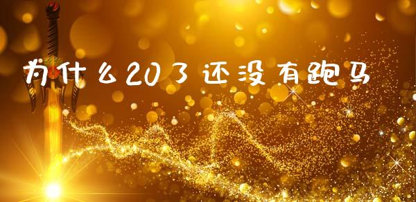 为什么20了还没有跑马_https://m.fansifence.com_消费金融_第1张