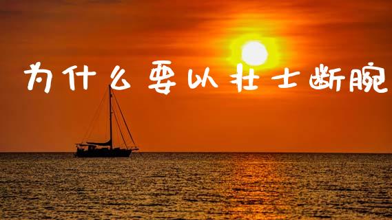 为什么要以壮士断腕_https://m.fansifence.com_公募基金_第1张