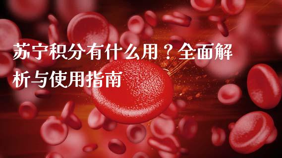 苏宁积分有什么用？全面解析与使用指南_https://m.fansifence.com_消费金融_第1张