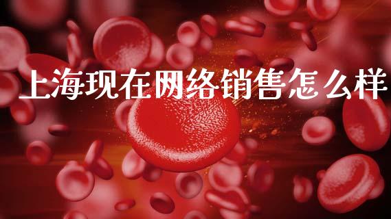 上海现在网络销售怎么样_https://m.fansifence.com_消费金融_第1张