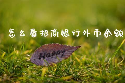 怎么看招商银行外币余额_https://m.fansifence.com_公募基金_第1张
