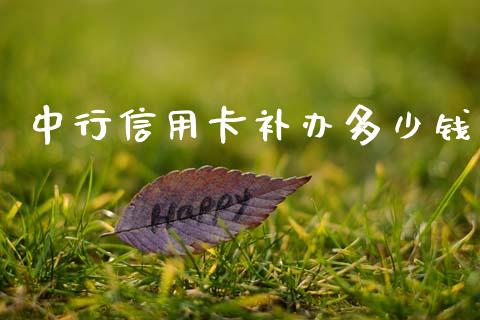 中行信用卡补办多少钱_https://m.fansifence.com_消费金融_第1张