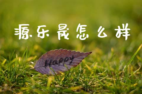 源乐晟怎么样_https://m.fansifence.com_消费金融_第1张