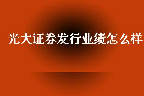 光大证券发行业绩怎么样_https://m.fansifence.com_消费金融_第1张