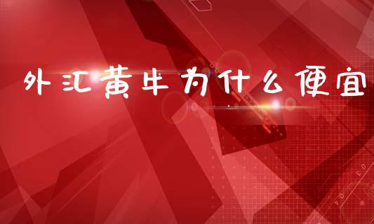 外汇黄牛为什么便宜_https://m.fansifence.com_个股行情_第1张