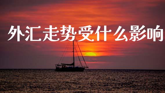 外汇走势受什么影响_https://m.fansifence.com_公募基金_第1张