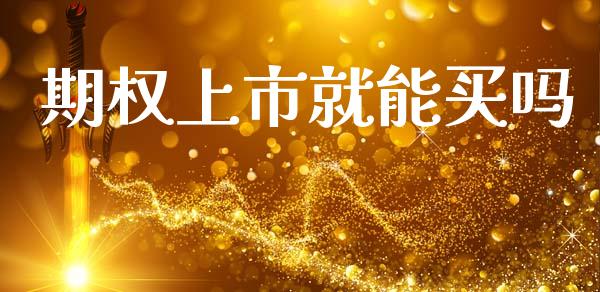 期权上市就能买吗_https://m.fansifence.com_个股行情_第1张