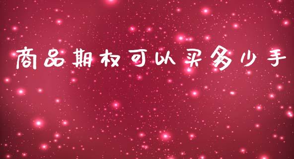 商品期权可以买多少手_https://m.fansifence.com_消费金融_第1张