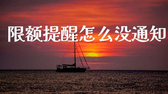 限额提醒怎么没通知_https://m.fansifence.com_贵金属行情_第1张