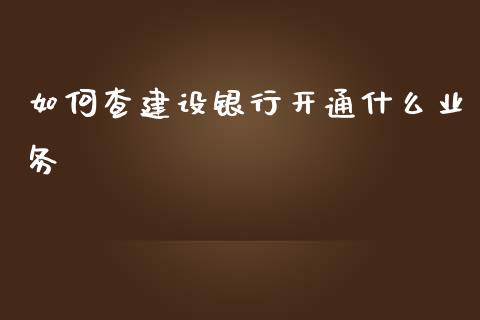 如何查建设银行开通什么业务_https://m.fansifence.com_消费金融_第1张