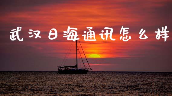 武汉日海通讯怎么样_https://m.fansifence.com_消费金融_第1张