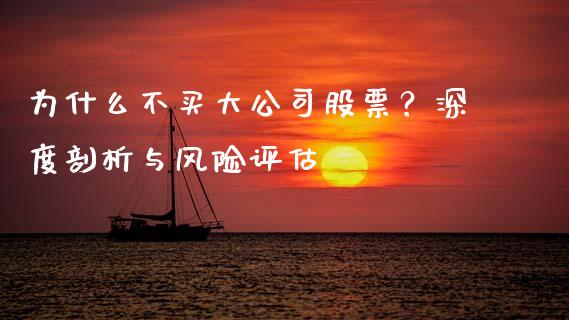 为什么不买大公司股票？深度剖析与风险评估_https://m.fansifence.com_贵金属行情_第1张