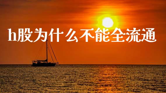 h股为什么不能全流通_https://m.fansifence.com_个股行情_第1张