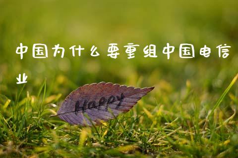 中国为什么要重组中国电信业_https://m.fansifence.com_个股行情_第1张