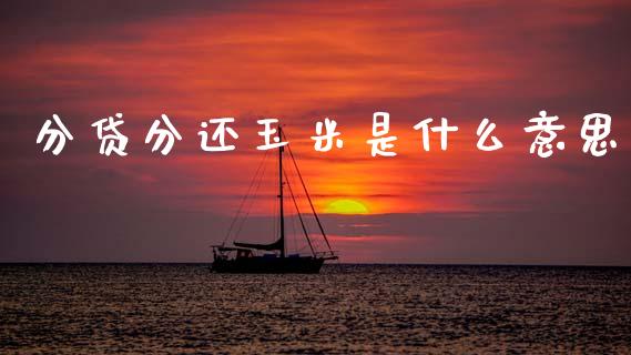 分贷分还玉米是什么意思_https://m.fansifence.com_公募基金_第1张