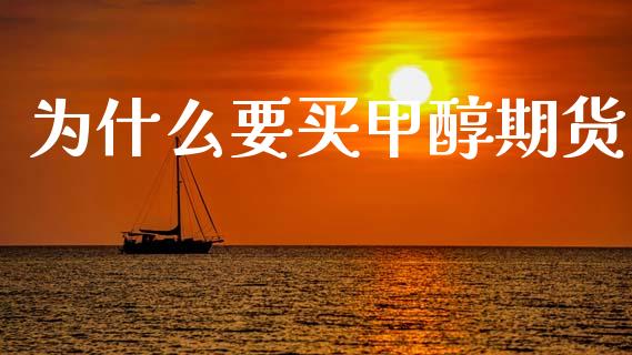 为什么要买甲醇期货_https://m.fansifence.com_个股行情_第1张