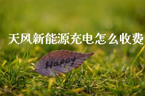 天风新能源充电怎么收费_https://m.fansifence.com_贵金属行情_第1张