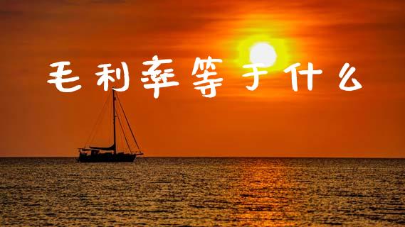 毛利率等于什么_https://m.fansifence.com_消费金融_第1张