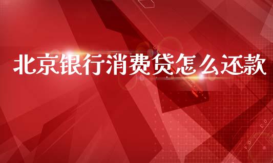 北京银行消费贷怎么还款_https://m.fansifence.com_公募基金_第1张