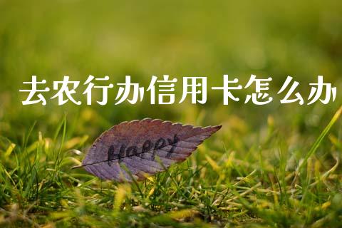去农行办信用卡怎么办_https://m.fansifence.com_公募基金_第1张