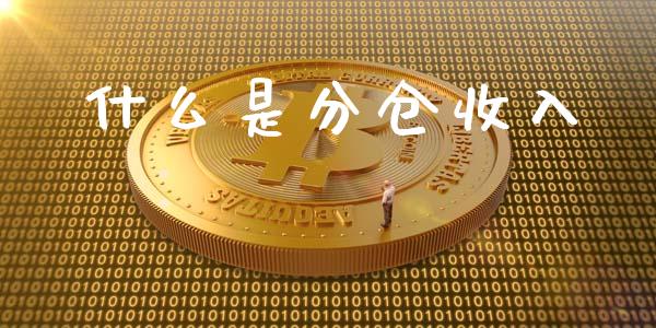 什么是分仓收入_https://m.fansifence.com_个股行情_第1张