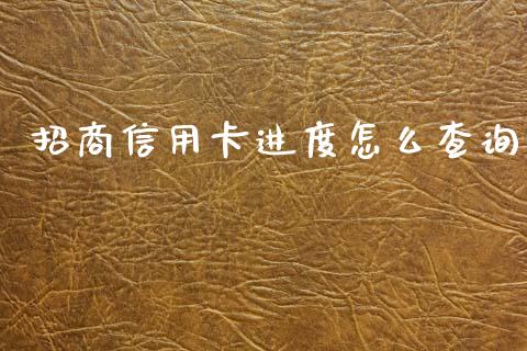 招商信用卡进度怎么查询_https://m.fansifence.com_消费金融_第1张