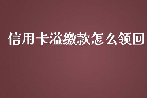 信用卡溢缴款怎么领回_https://m.fansifence.com_消费金融_第1张