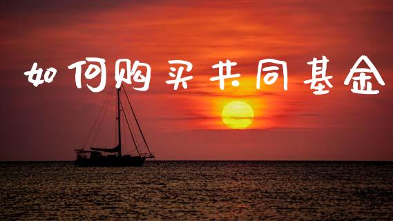 如何购买共同基金_https://m.fansifence.com_个股行情_第1张