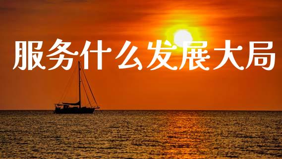 服务什么发展大局_https://m.fansifence.com_个股行情_第1张