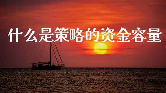 什么是策略的资金容量_https://m.fansifence.com_贵金属行情_第1张